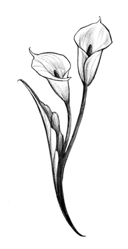 Calla Lily by Grace (APPRENTICE)