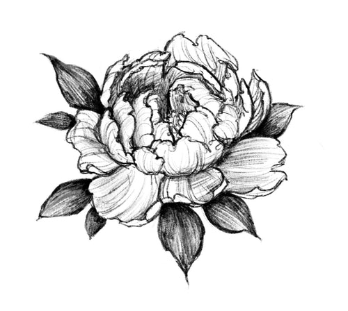 Peony 1 by Grace (APPRENTICE)