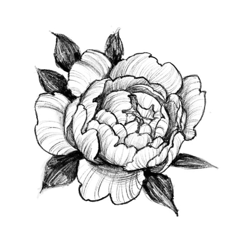 Peony 2 by Grace (APPRENTICE)