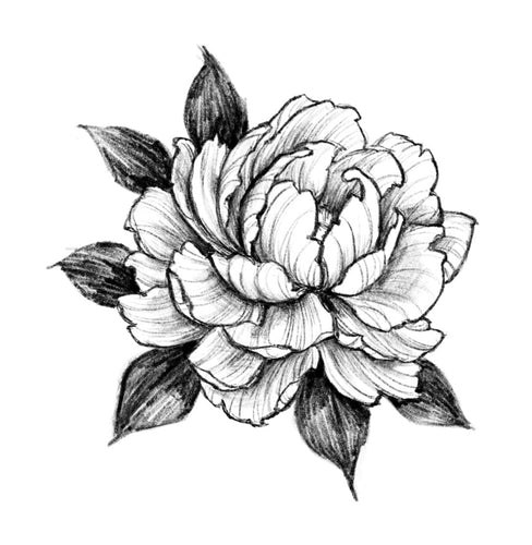 Peony 3 by Grace (APPRENTICE)