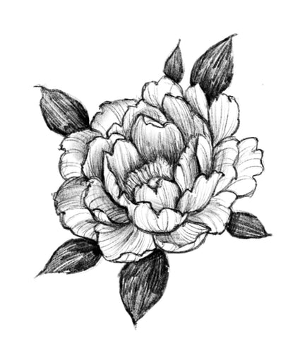 Peony 4 by Grace (APPRENTICE)