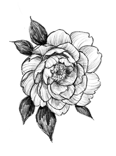 Peony 5 by Grace (APPRENTICE)