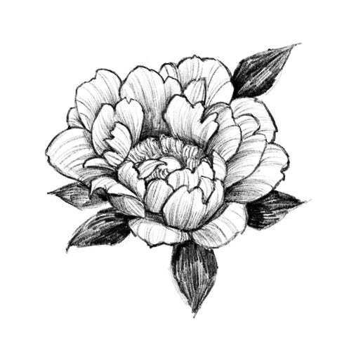 Peony 6 by Grace (APPRENTICE)