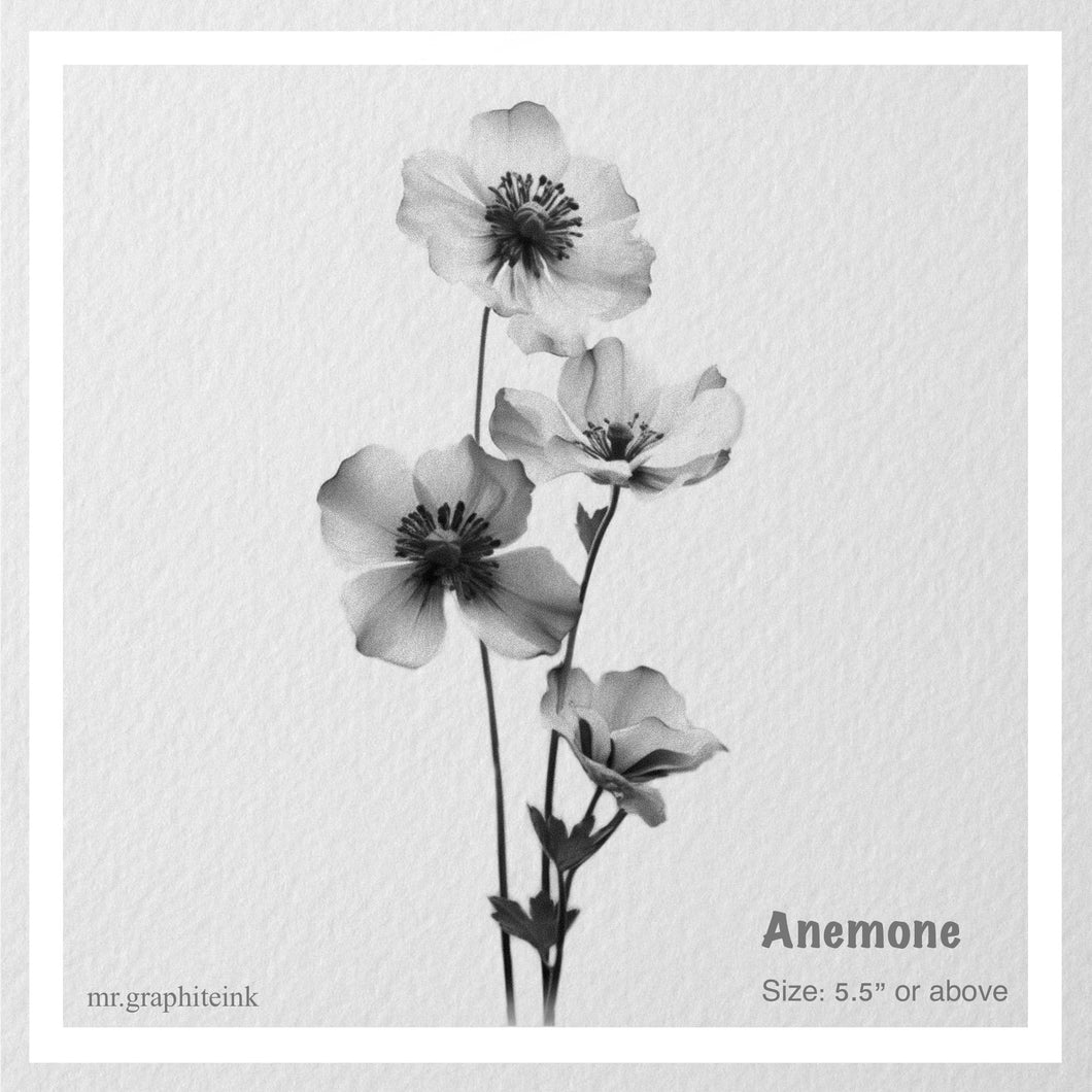 Anemone by Nav