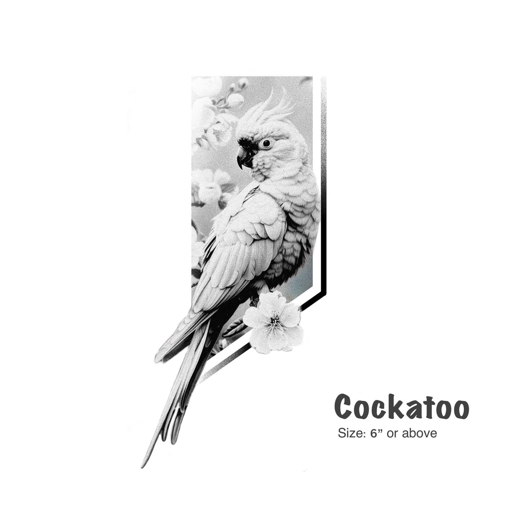 Cockatoo by Nav