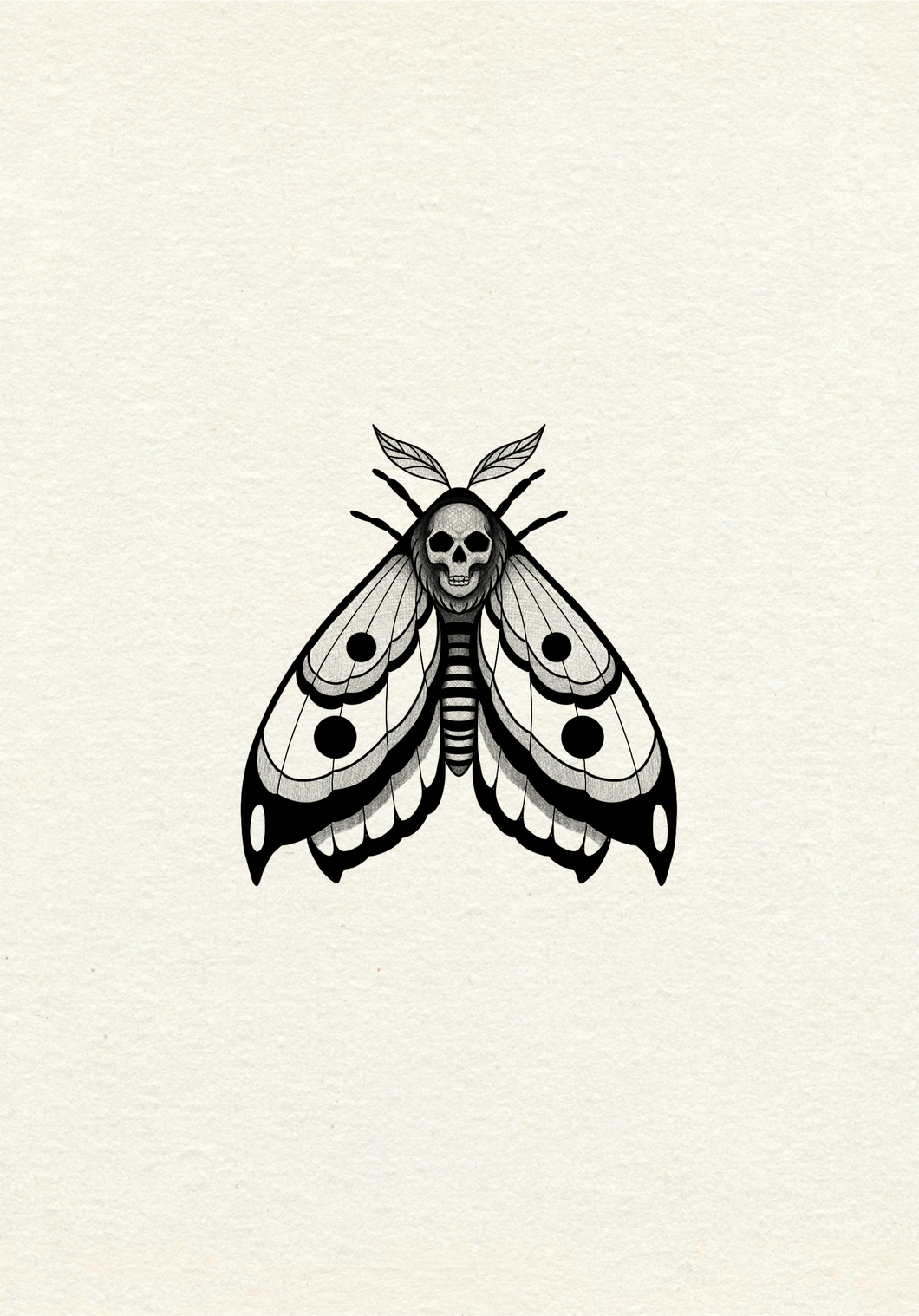 Moth 1 by Harryl