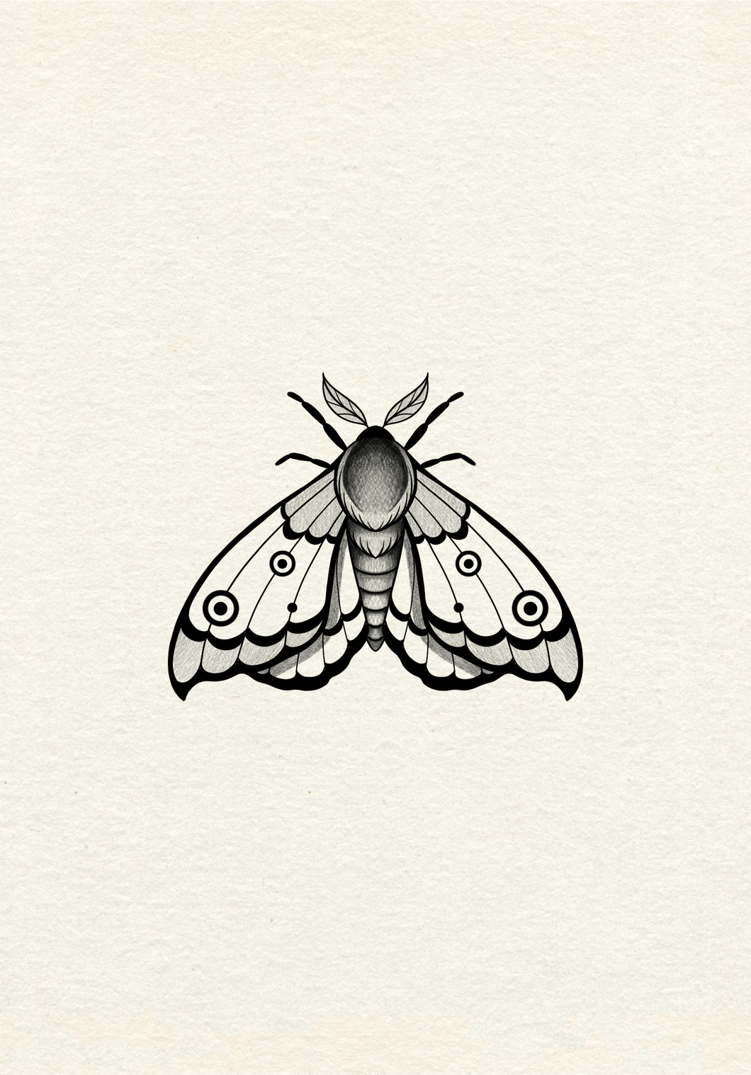 Moth 2 by Harryl